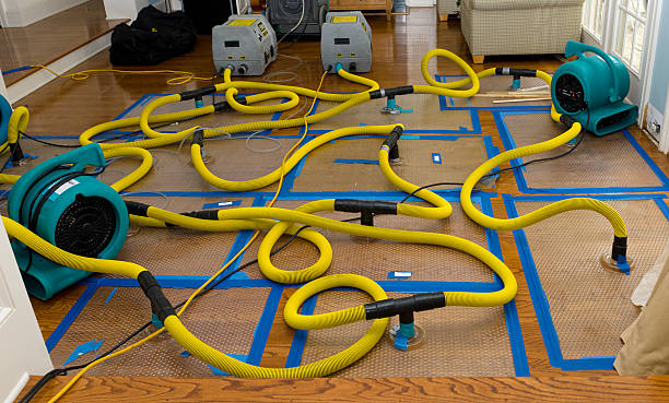 Professional Storm Water Damage Restoration technician working in Fresno, TX